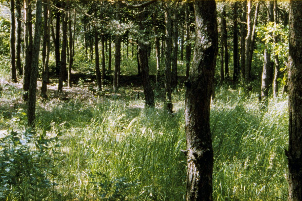 Belzec
