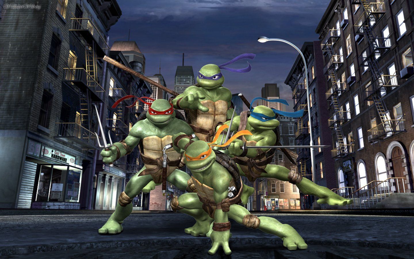 Les Tortues ninja