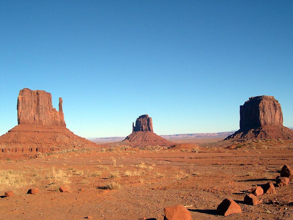 American Vertigo