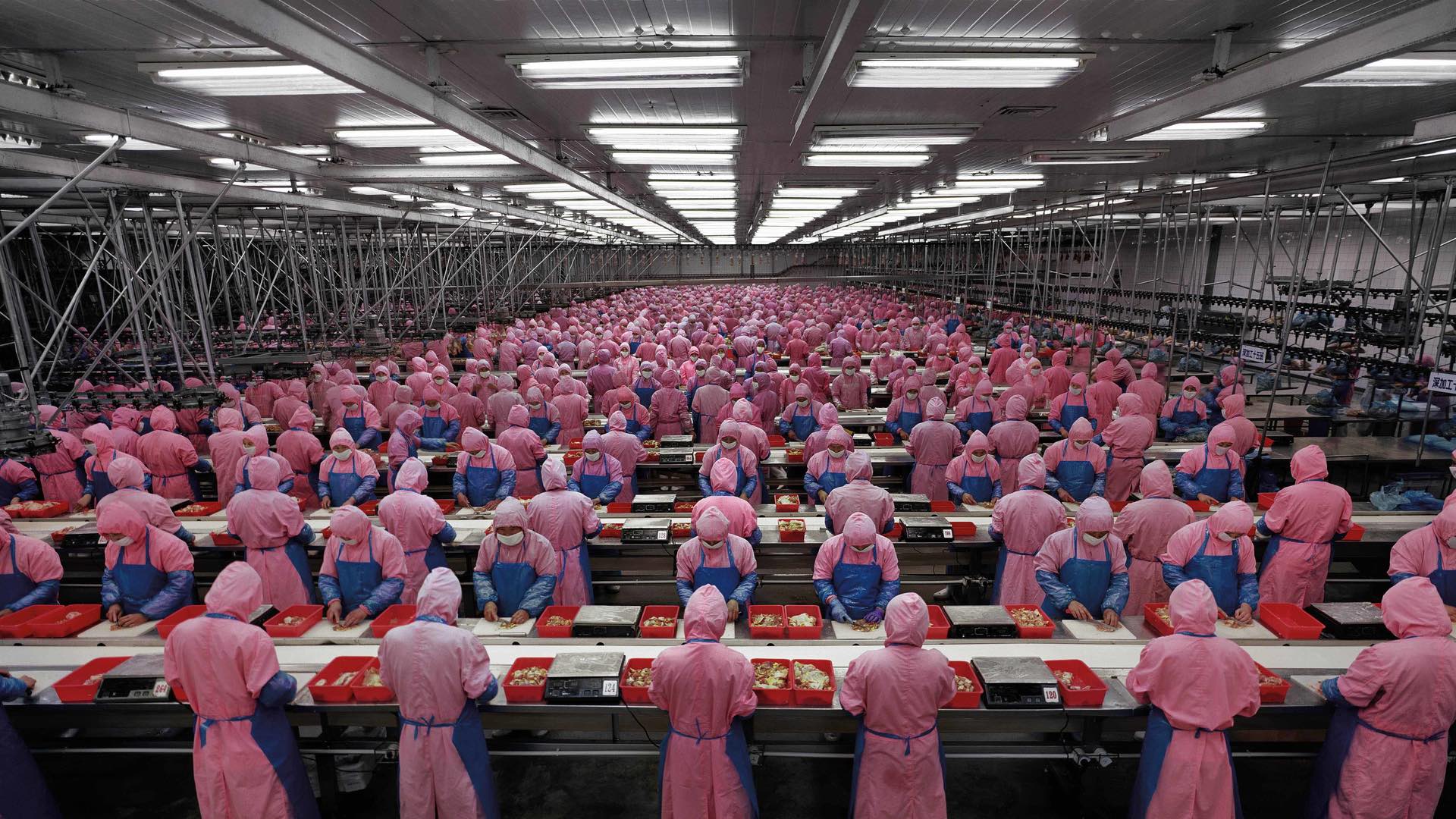 Paysages manufacturés