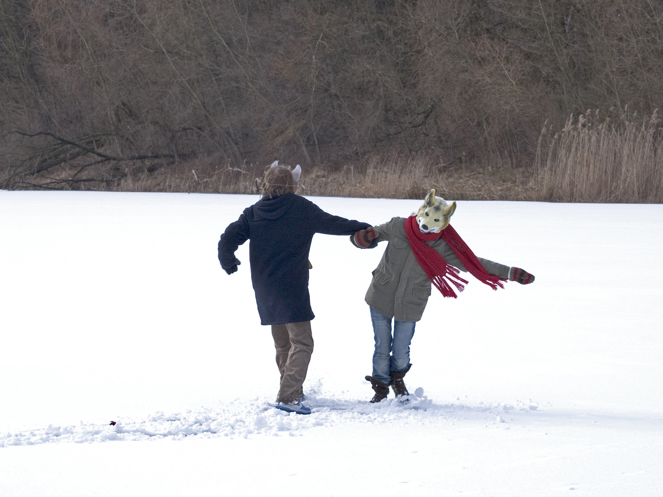 Des chiens dans la neige