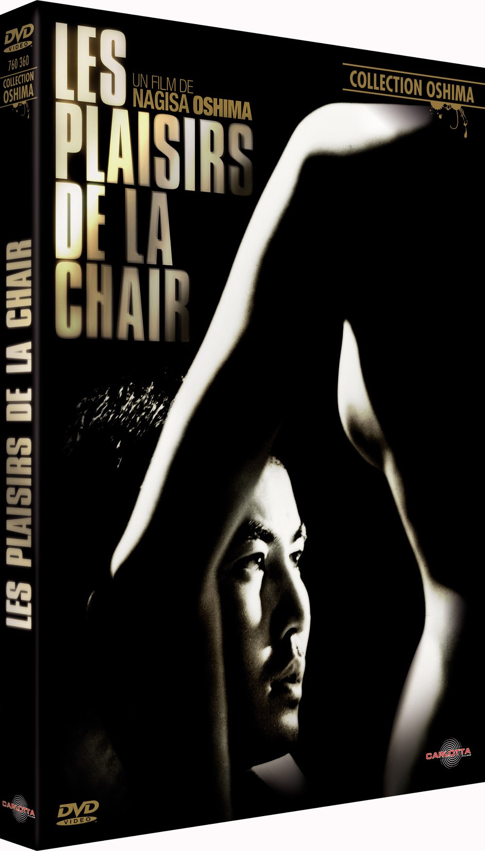 Les Plaisirs de la Chair / Nuit et brouillard au Japon