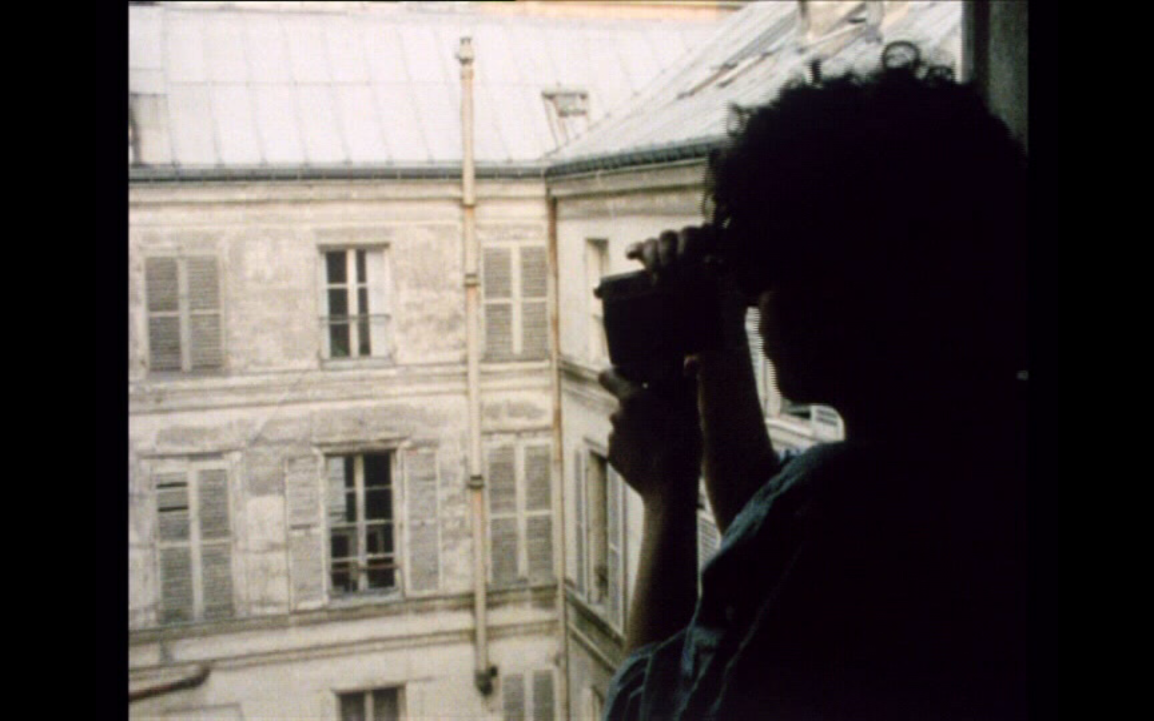 Diary 1973 – 1983, David Perlov