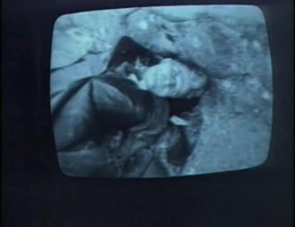 Videogramme einer Revolution