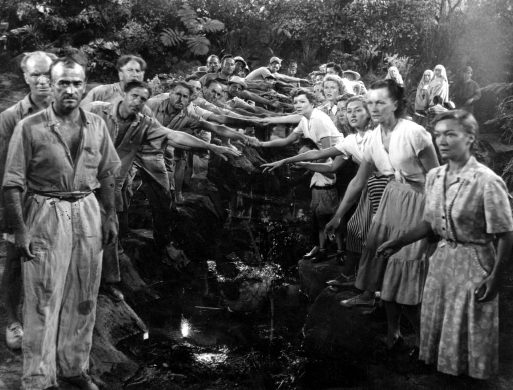 Captives à&nbsp;Bornéo