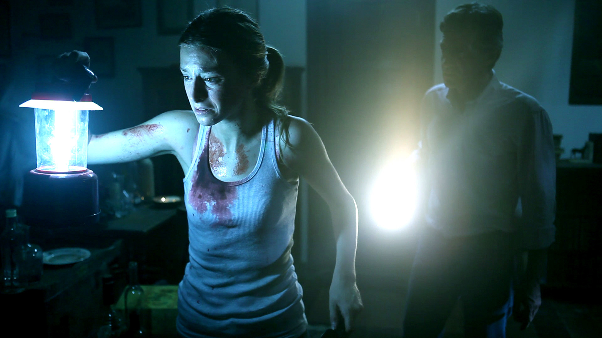 The Silent House