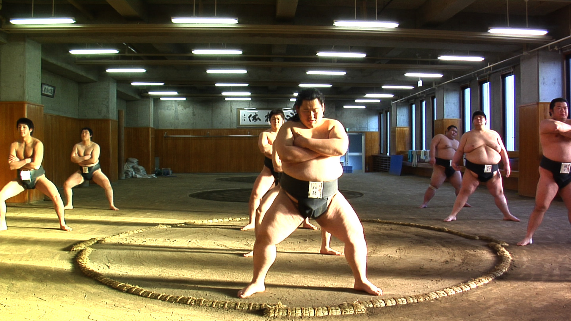 Tu seras sumo