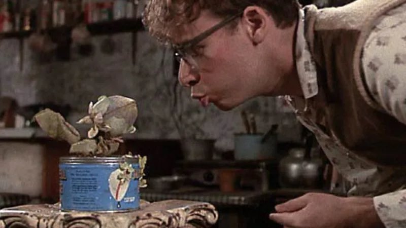 Ciné-club Les Couleurs de la toile : «&nbsp;Little Shop of Horrors&nbsp;» de Frank Oz