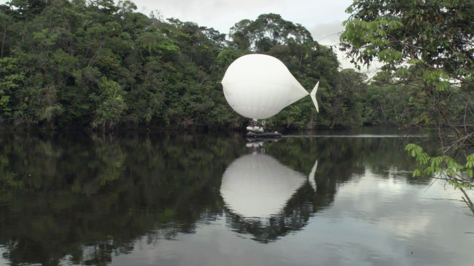 Ciné-club Les Couleurs de la toile&nbsp;: «&nbsp;The White Diamond&nbsp;» de Werner Herzog