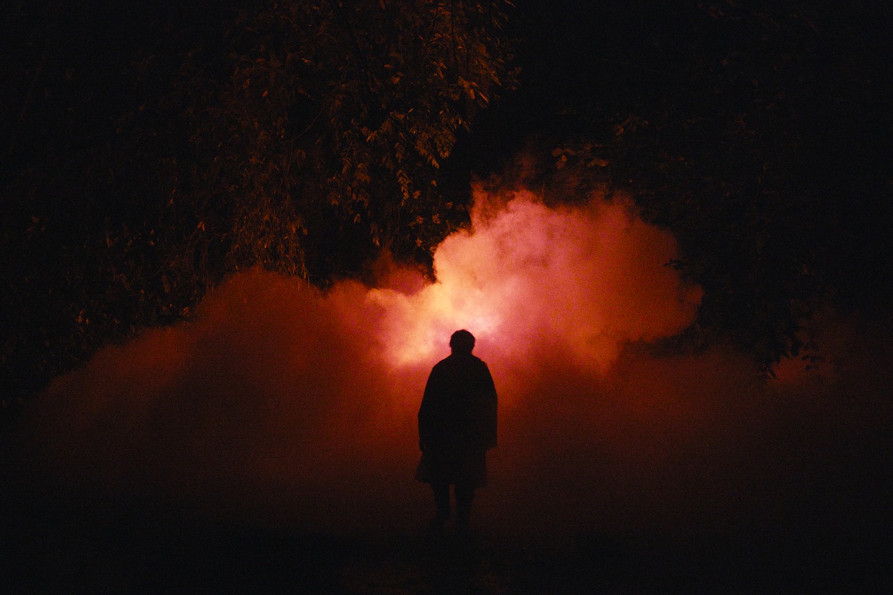 Domingo et la brume