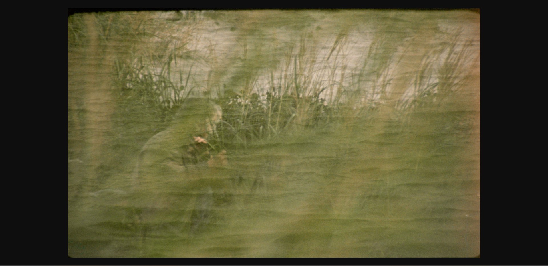 45e Festival international de films de femmes de Créteil