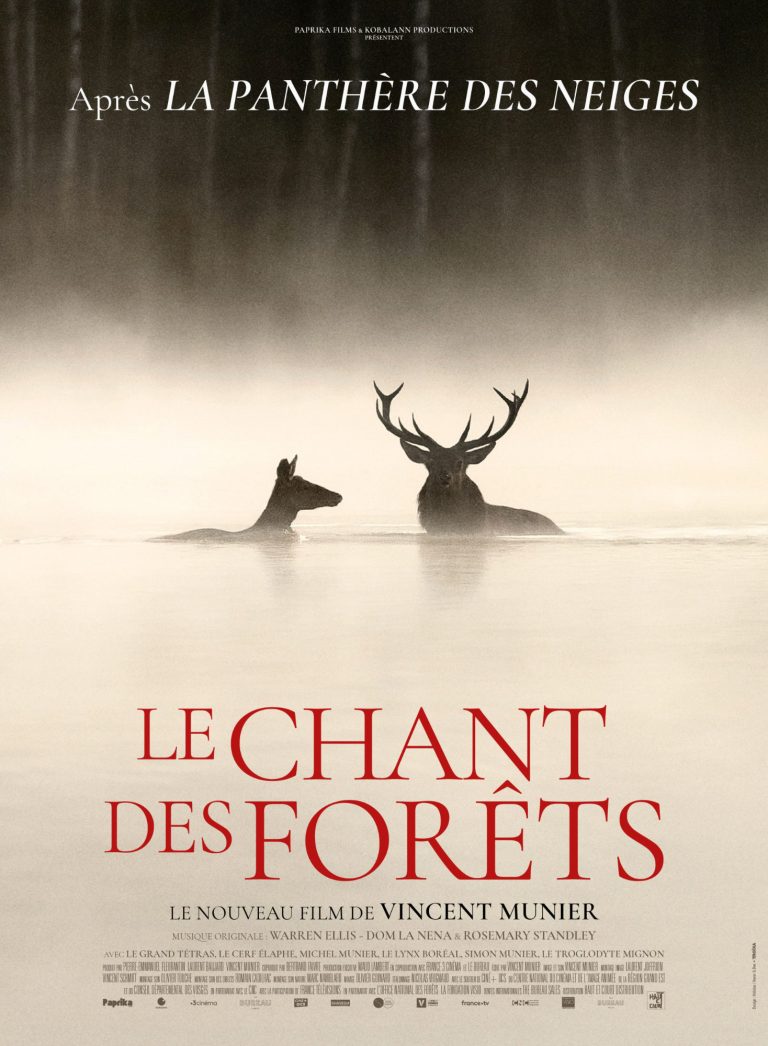 Affiche de Le Chant des forêts