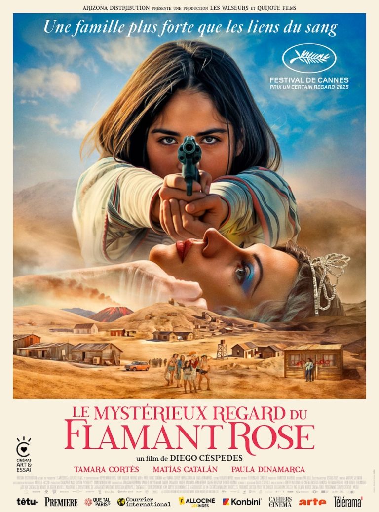 Affiche de Le Mystérieux regard du flamant rose