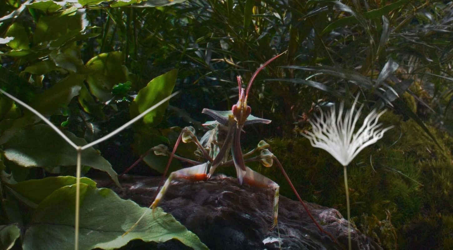 Planètes