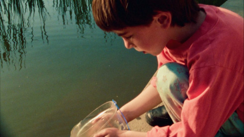 Ross McElwee&nbsp;: «&nbsp;Lorsque je filme, l’art et la vie composent une étrange équation&nbsp;»