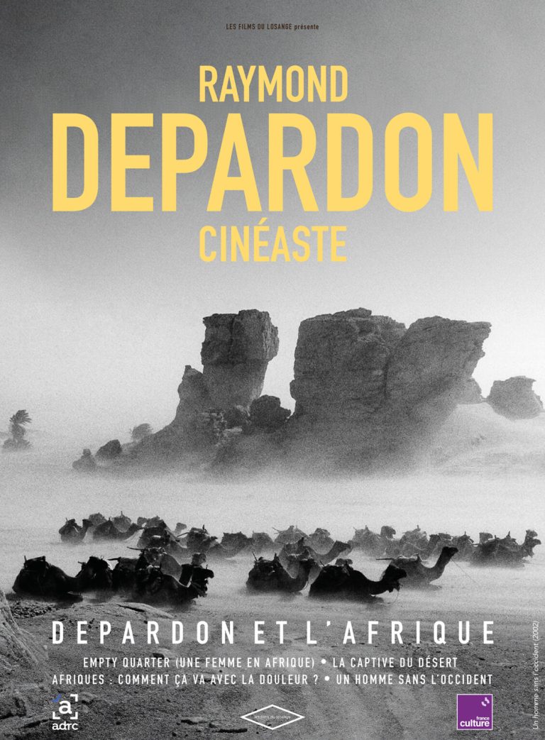 Affiche de Afriques : comment ça va avec la douleur ?