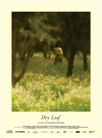 Dry Leaf
