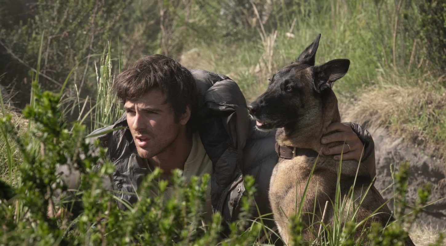 The Dog Stars
