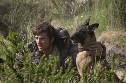 The Dog Stars