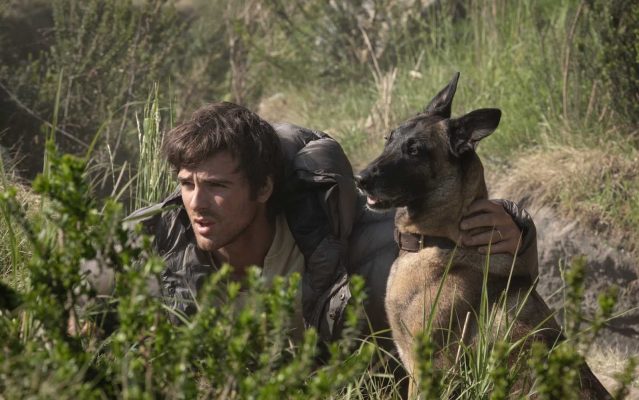 The Dog Stars