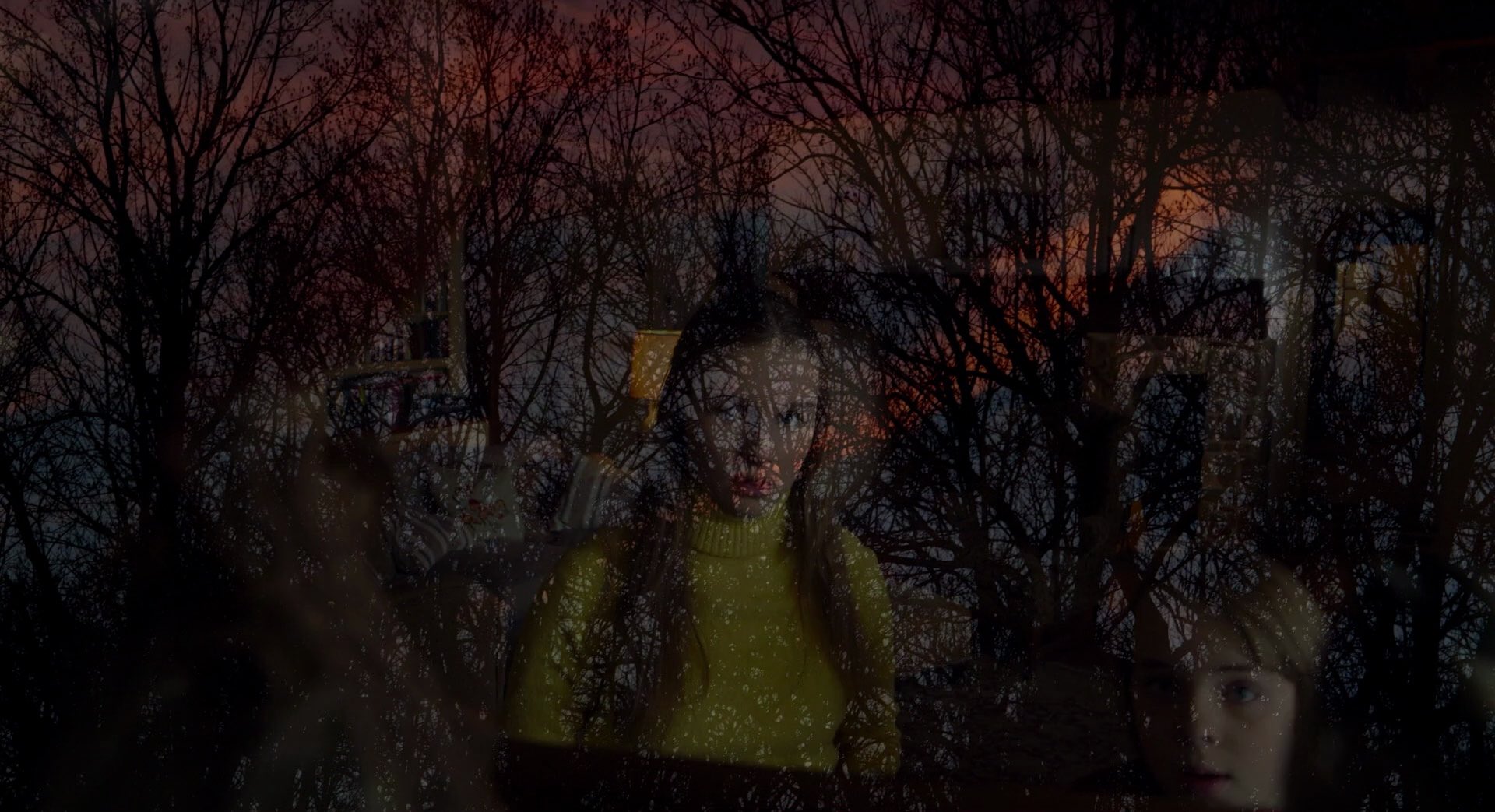 Ciné-club Critikat&nbsp;: The Visit